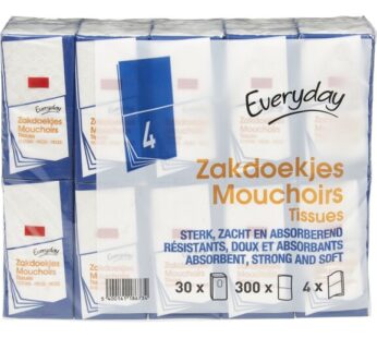 Zakdoekjes papier 4l.10stx30