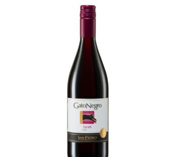 Gato Negro Syrah fles 75cl